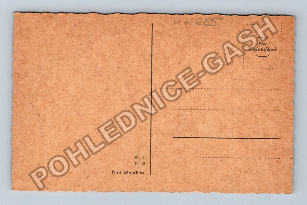 Pohlednice Slunečnice Echt Kupfertieferdruck (M41655)