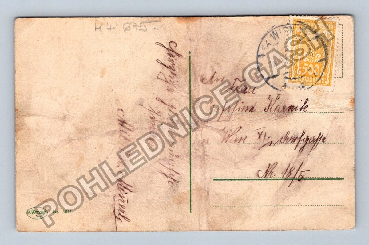 Pohlednice Rakousko Kytice květin Hoch Josefine 1900 (M41675)