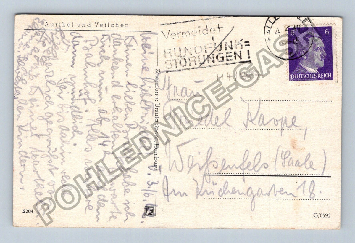 Pohlednice Německo květiny prvosenky violky Ursula Spenz (M41687)