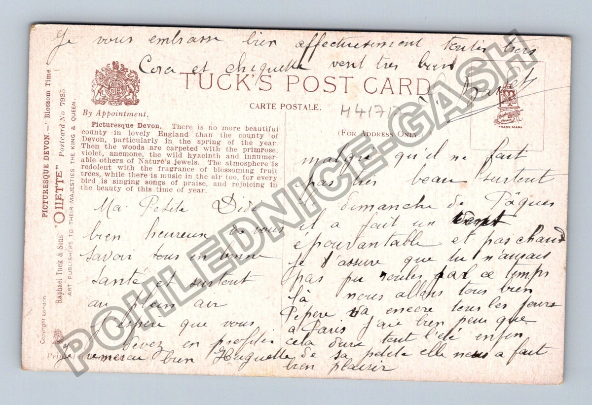 Pohlednice Velká Británie Devon květoucí stromy (M41717)