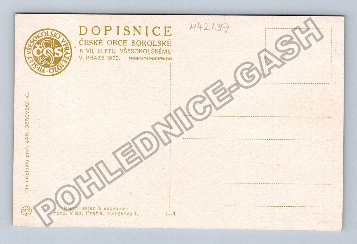 Pohlednice Sedmý slet Všesokolský v Praze 1920 (M42139)