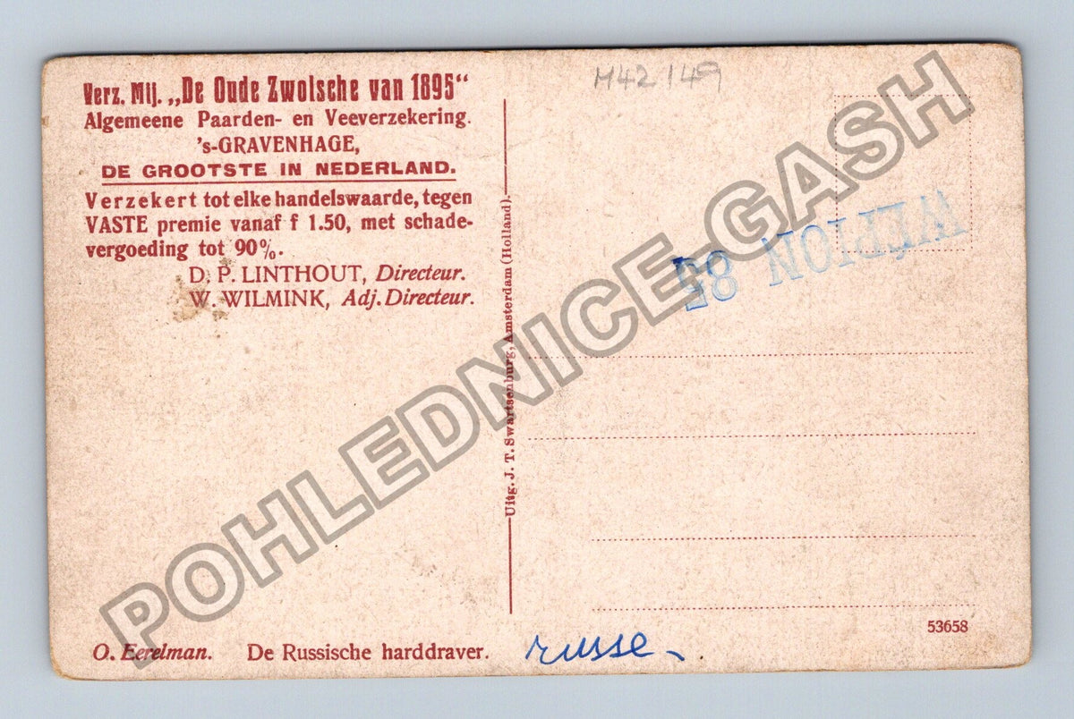 Pohlednice Holandsko kůň De Oude Zwolsche van 1895 (M42149)