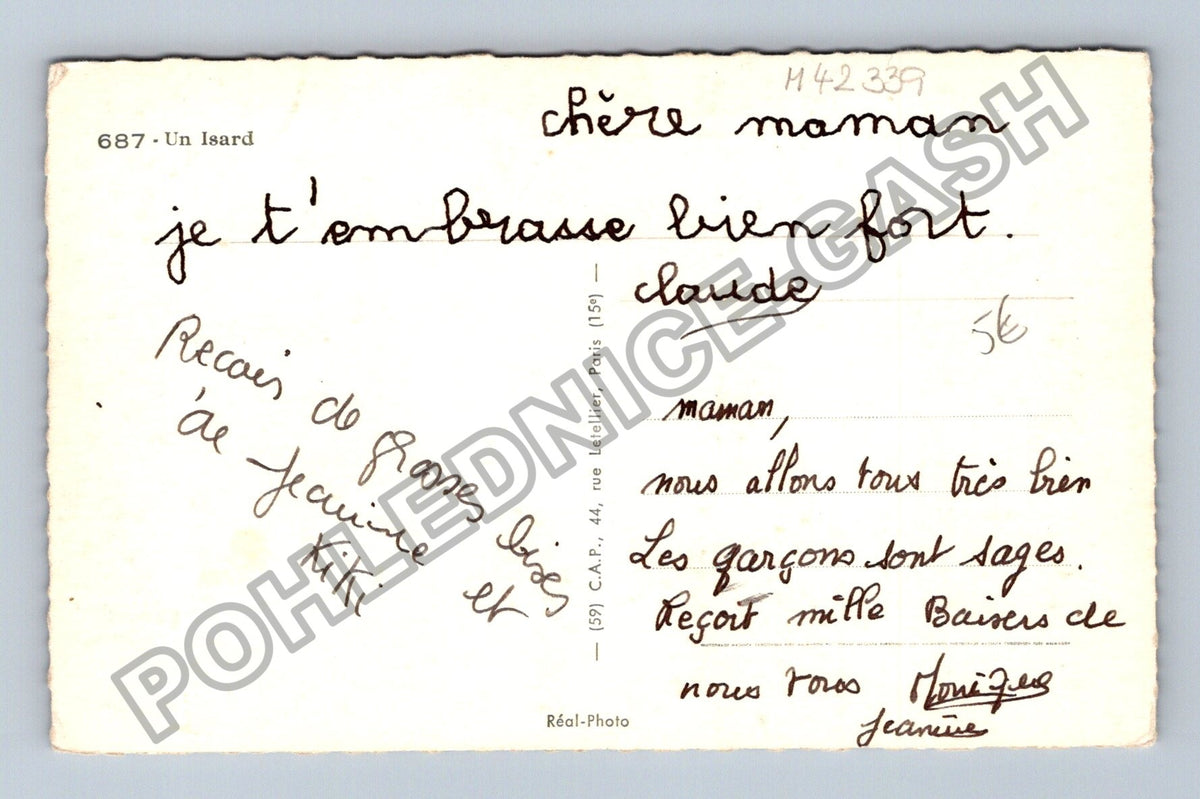 Pohlednice Francie kamzík hory (M42339)