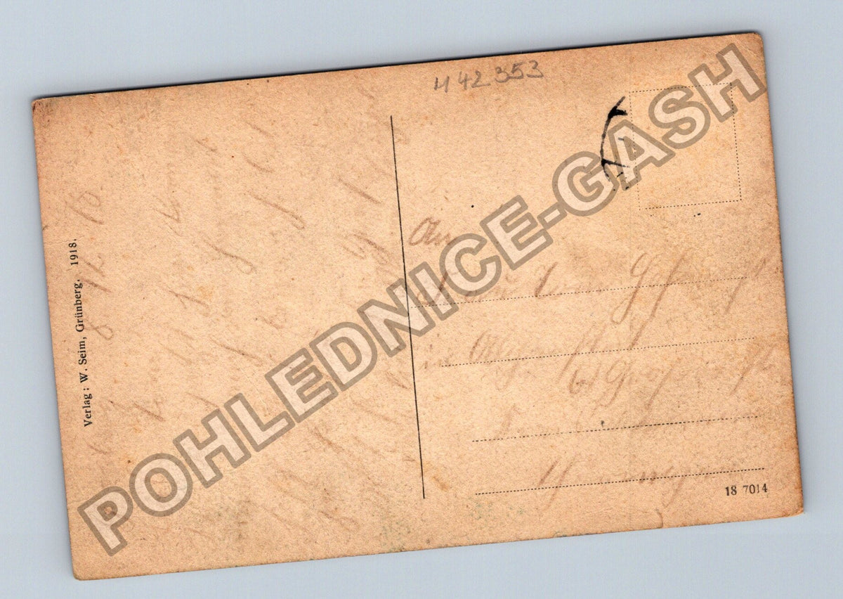 Pohlednice Německo Grünberg i Hessen Südseite 1918 (M42353)