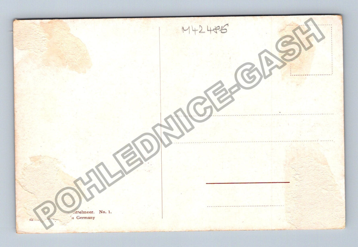 Pohlednice Kairouan orientální motiv velbloudi mešity (M42486)