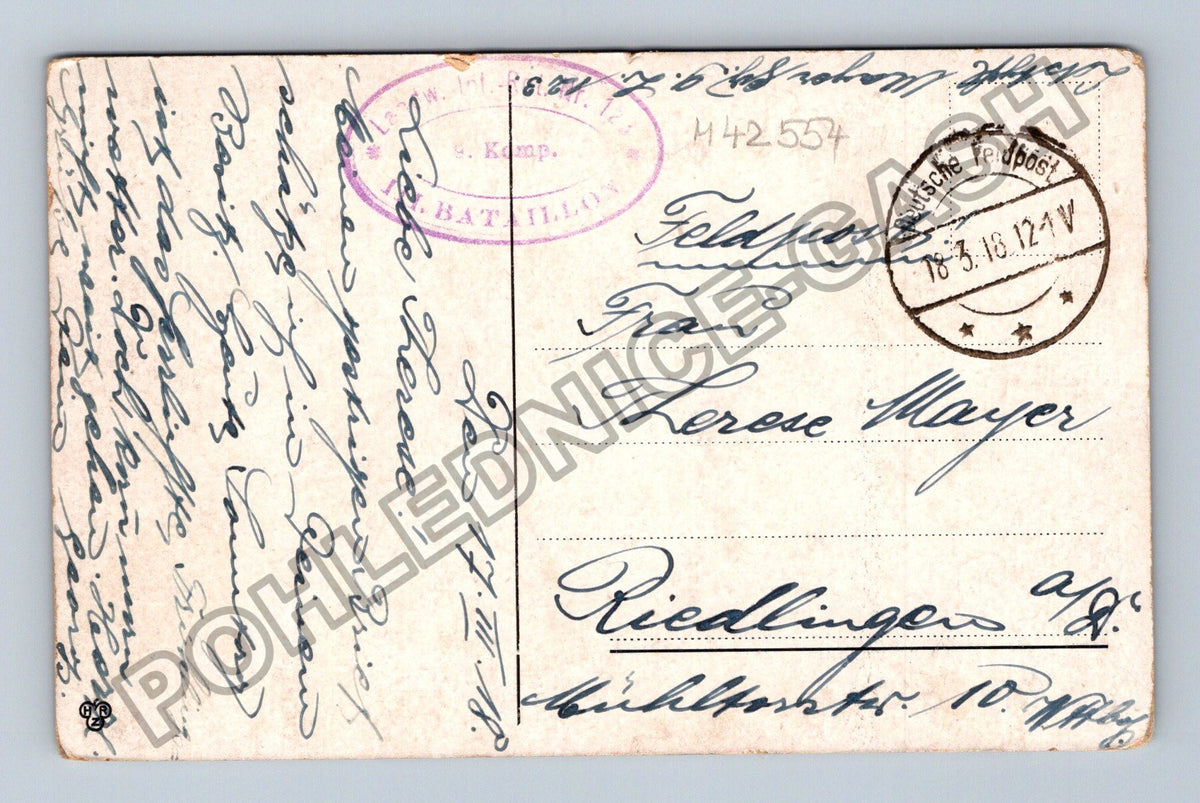 Pohlednice Rakousko horská krajina rozkvetlé stromy 1914 (M42554)