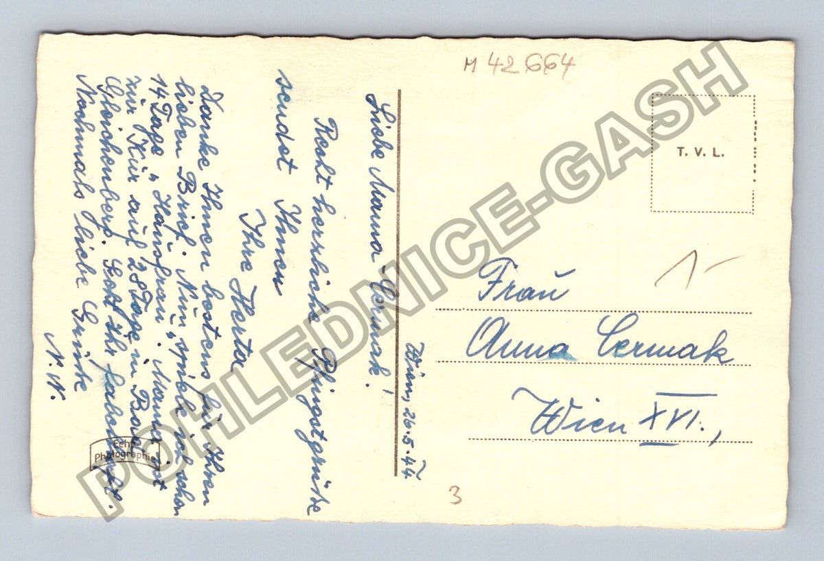 Pohlednice Rakousko Brouci na kvetoucích větvích Pfingsten (M42664)
