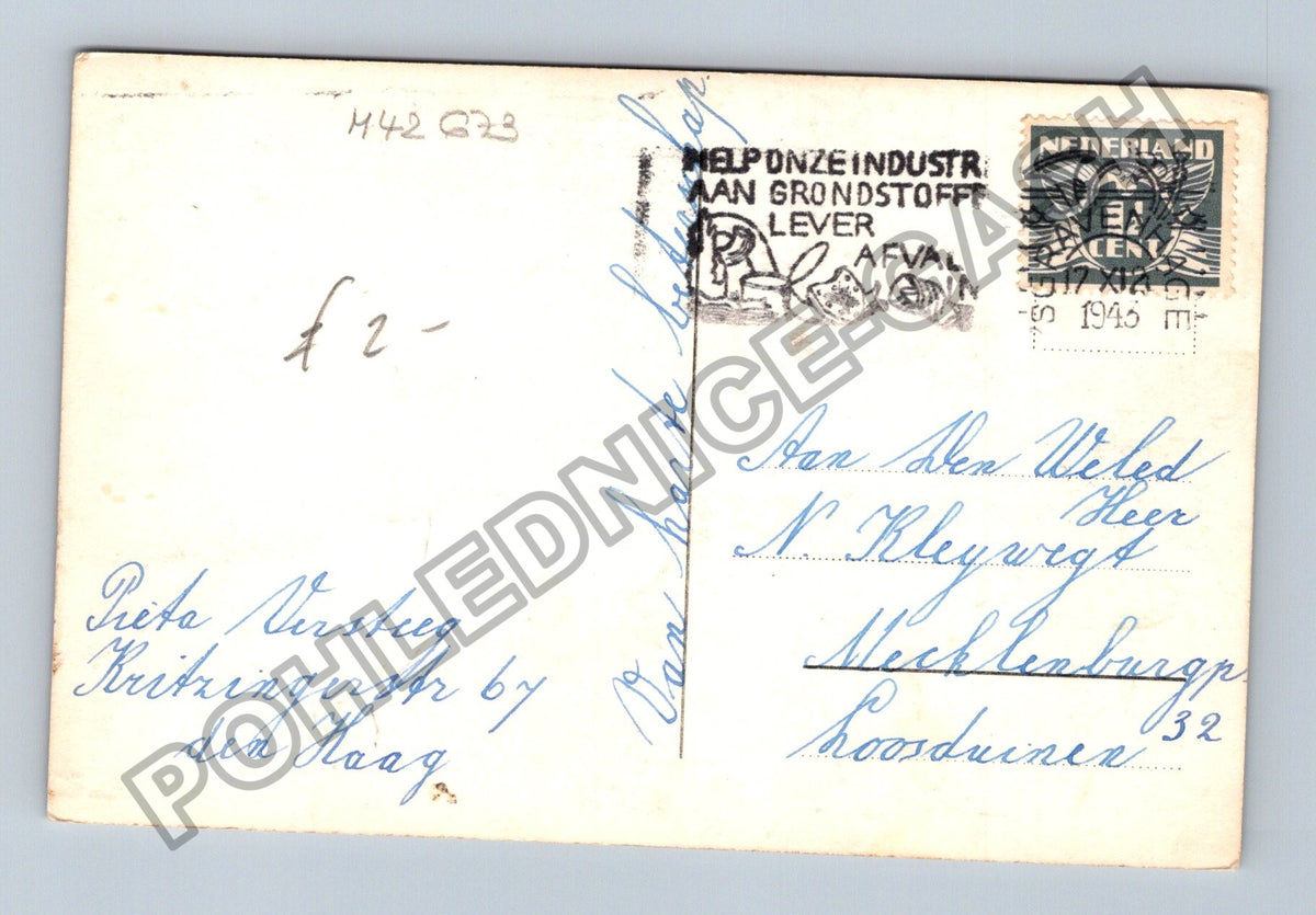 Pohlednice Holandsko Kytice kopretin (M42673)
