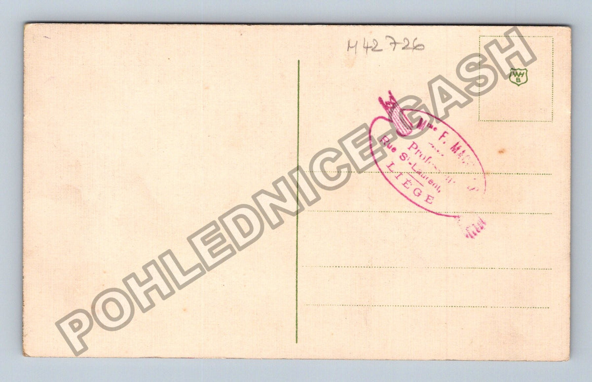 Pohlednice Francie Liège růže (M42726)