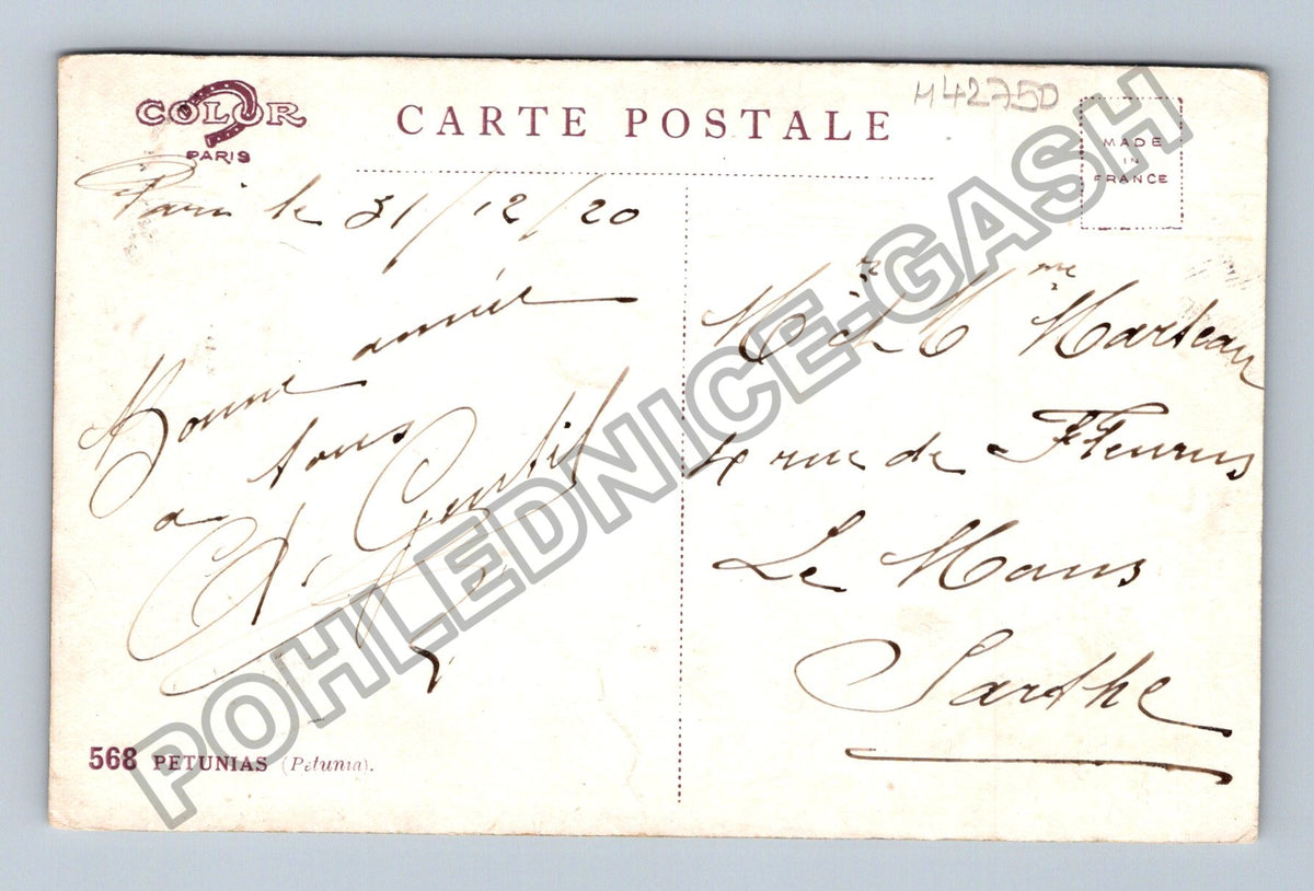 Pohlednice Francie Petunie květiny 1920 (M42750)