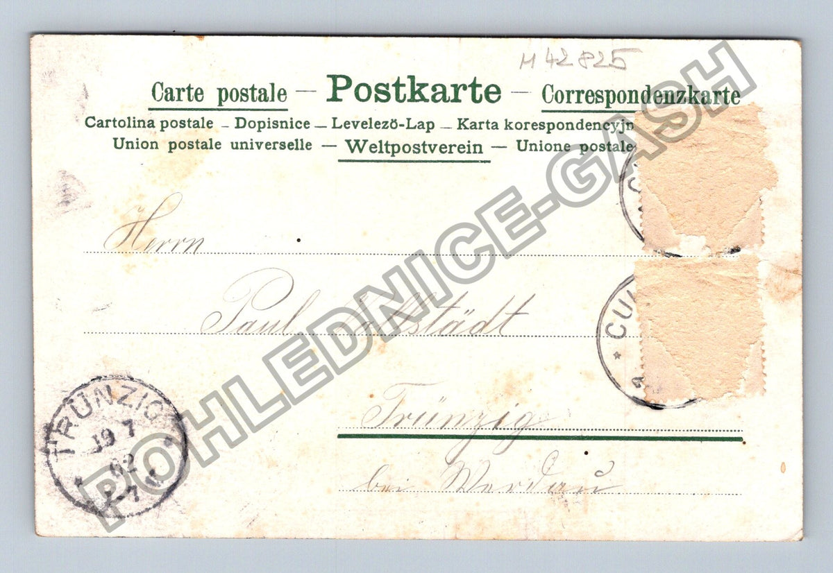 Pohlednice Německo Gruss aus Trünzig růže (M42825)