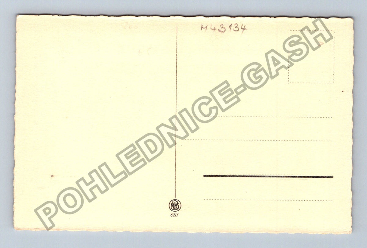 Pohlednice Pes portrét (M43134)