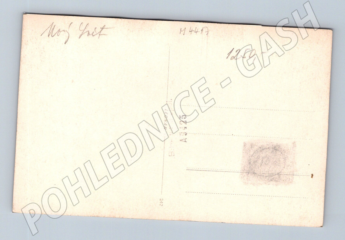 Pohlednice hradní či zámecké nádvoří čb (M4417)