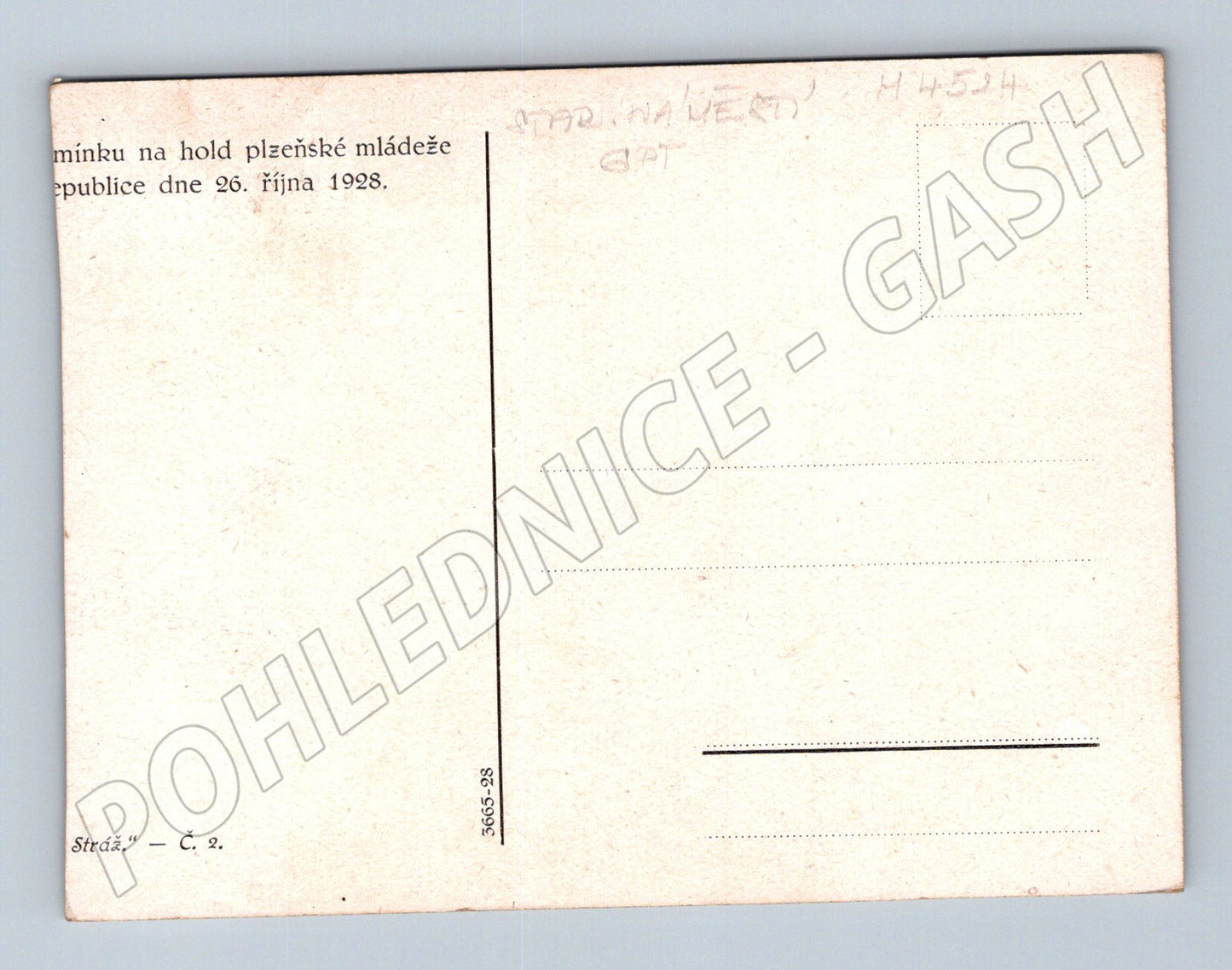 Pohlednice Plzeň oslavy republiky 1928 (M4524)