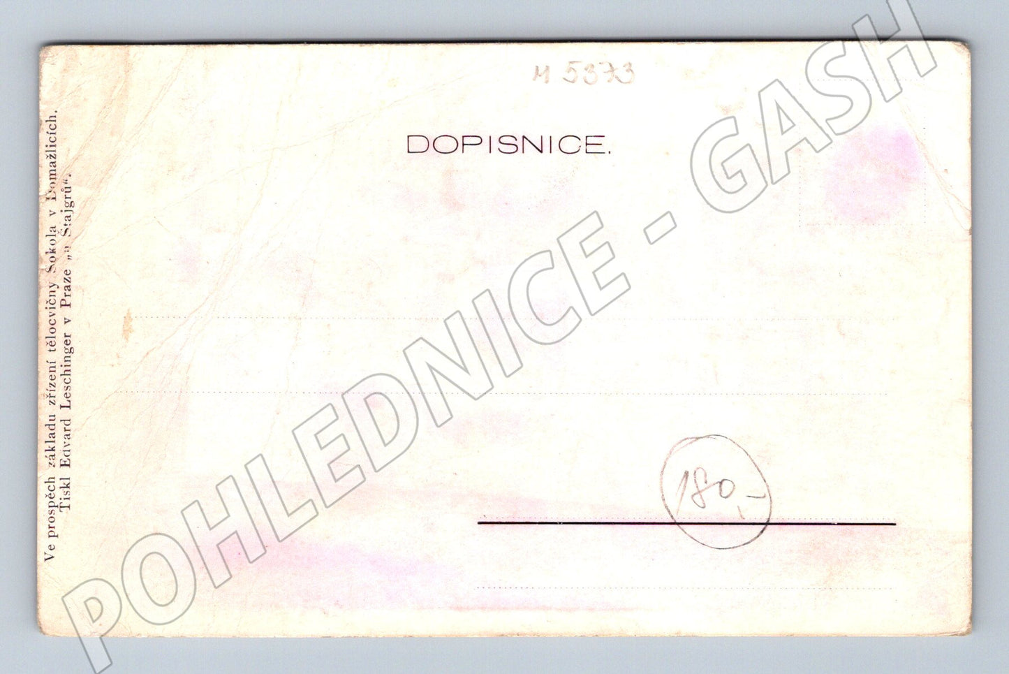 Pohlednice Sokol Domažlice dámský odbor (M5373)