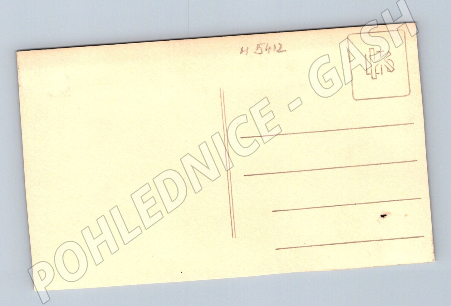 Pohlednice Sokolský slet černobílá menší formát (M5412)