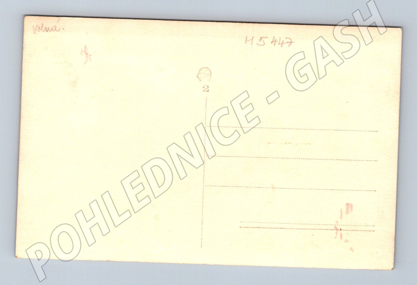 Pohlednice hromadné cvičení stadion Sokol (M5447)