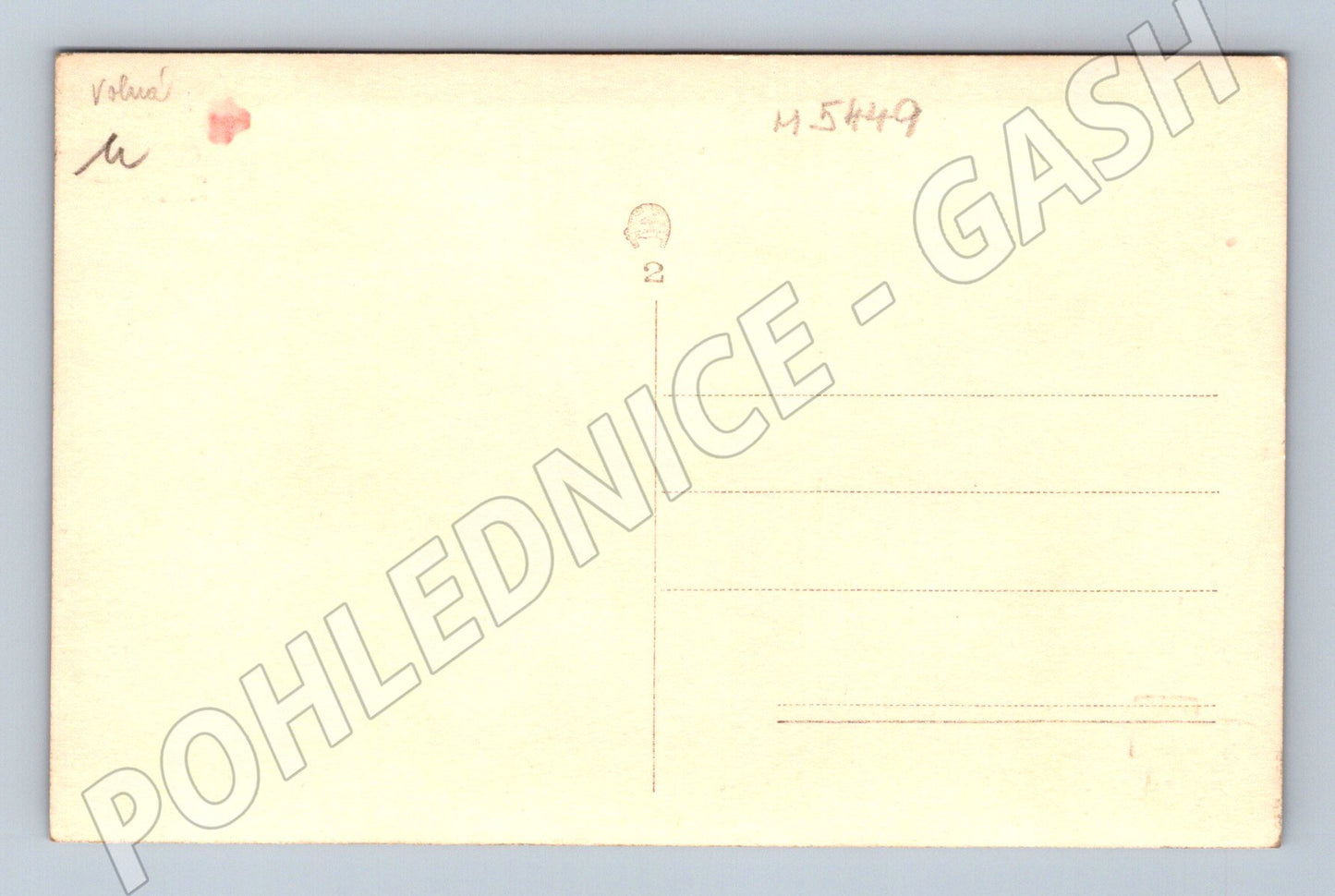Pohlednice vojenský či společenský sraz Sokol (M5449)