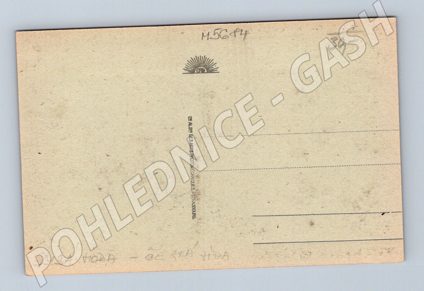 Postcard Luz France Rue Principale and Hôtel de l Univers (M5684)