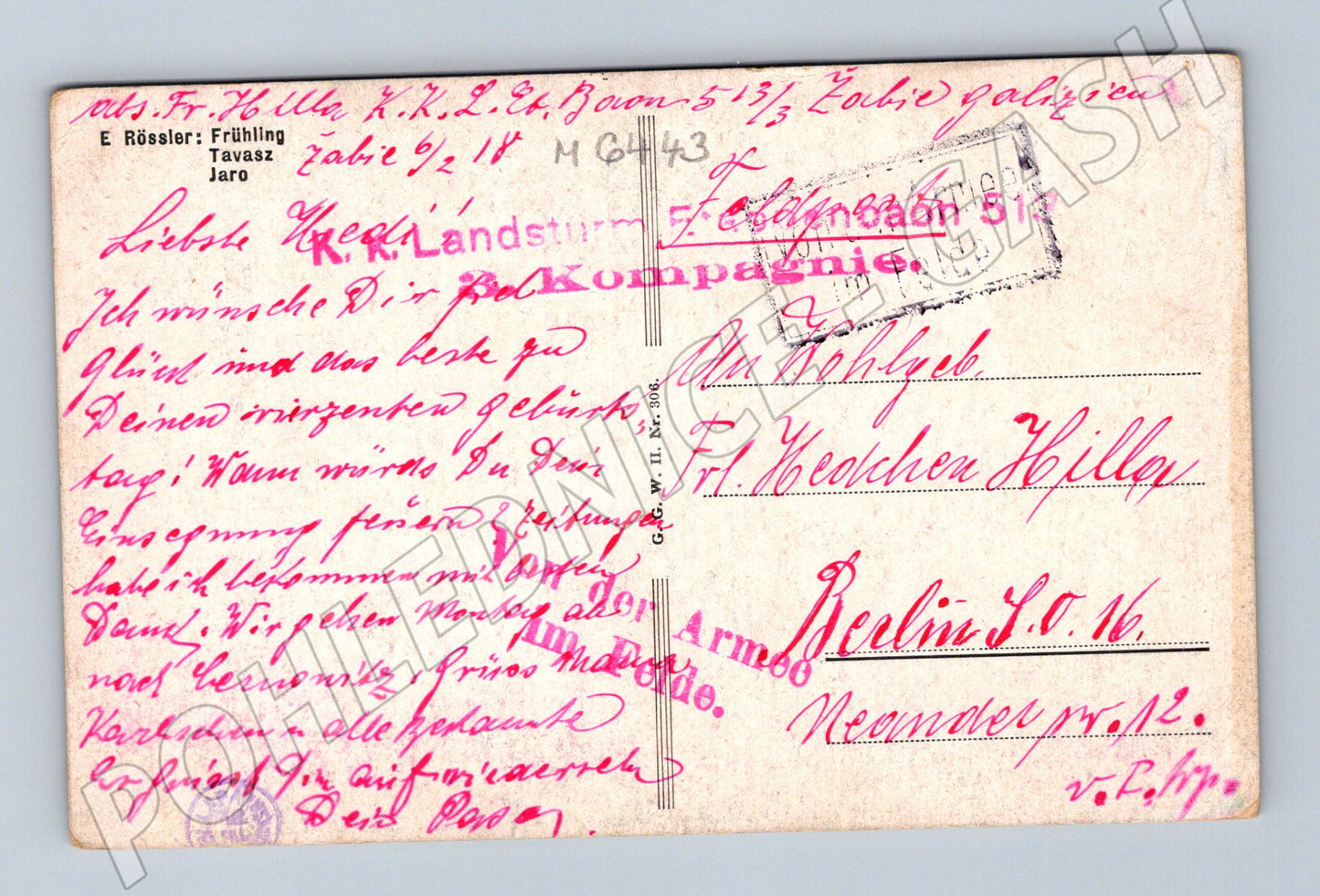 Pohlednice E. Rössler Jaro 1917 (M6443)