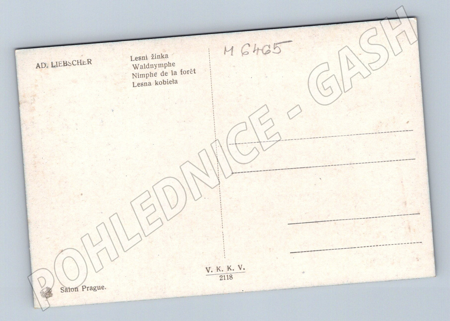 Pohlednice Lesní žínka Ad. Liebscher (M6465)