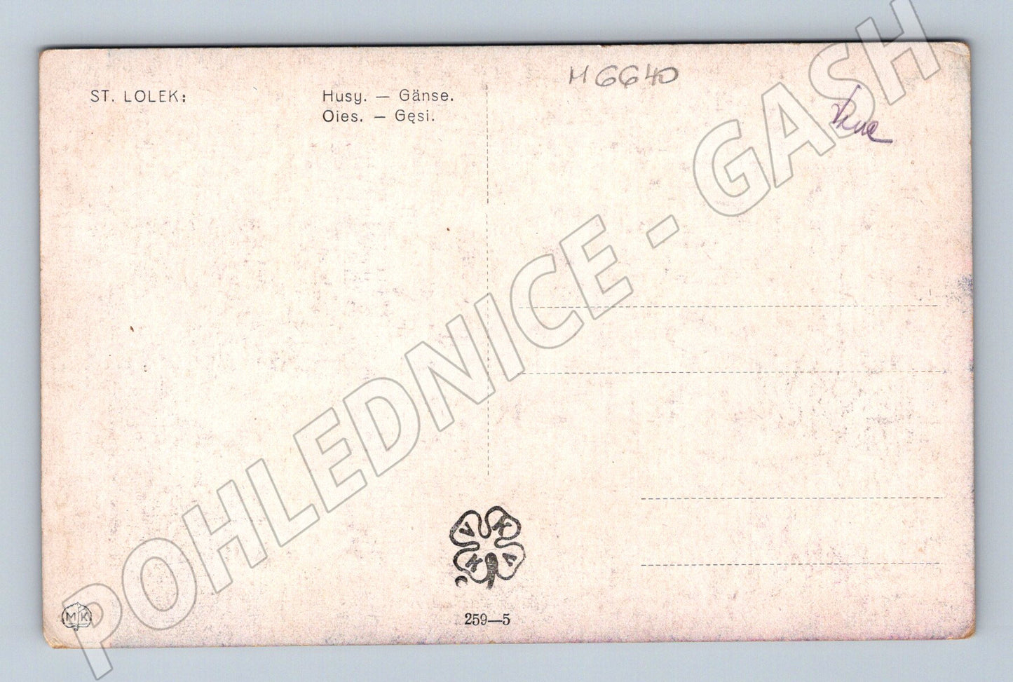 Pohlednice Husy na louce St. Lolek (M6640)