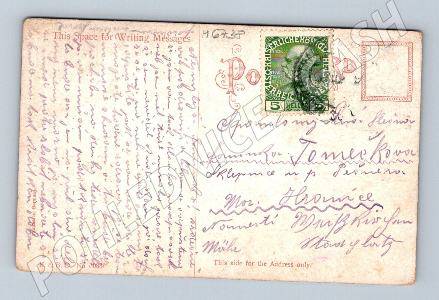 Pohlednice pastvina ovce Rakousko (M6738)