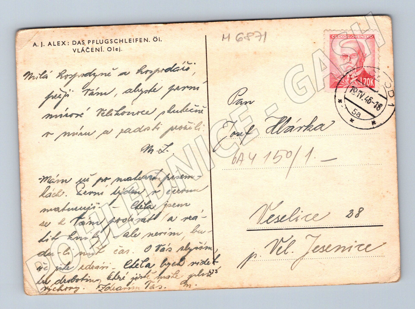 Pohlednice Zemědělec s voly A. J. Alex ČSR (M6871)