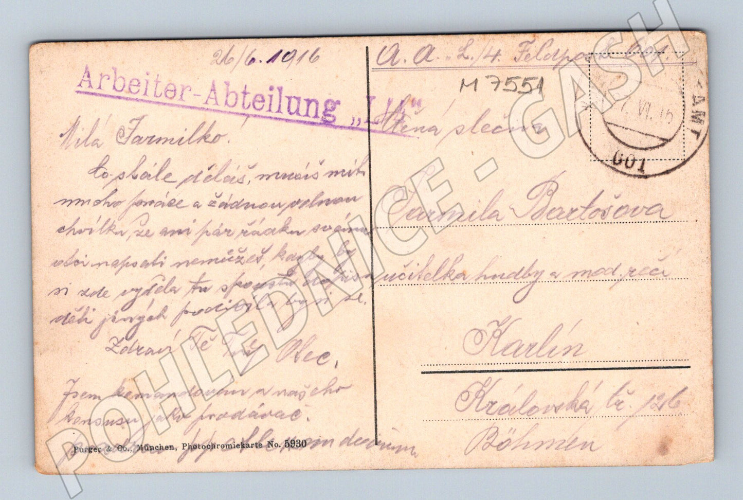 Postcard Miesbach Alps colored 1916 (M7551)