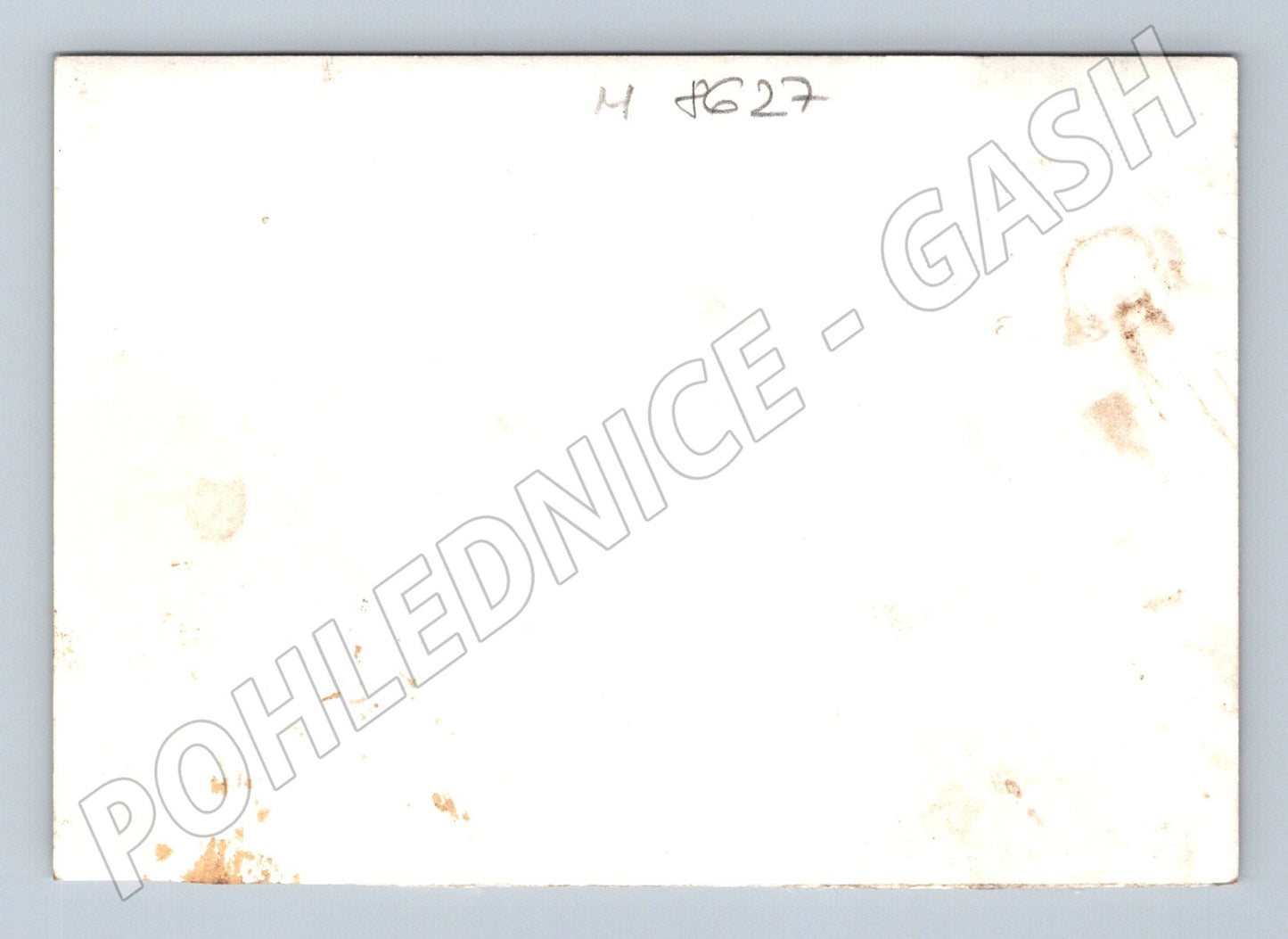 Pohlednice PF 81 jeleni na louce (M8627)