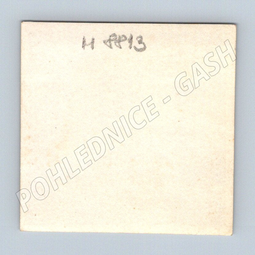 Postcard soldier with fox hunting trophy (M8813)