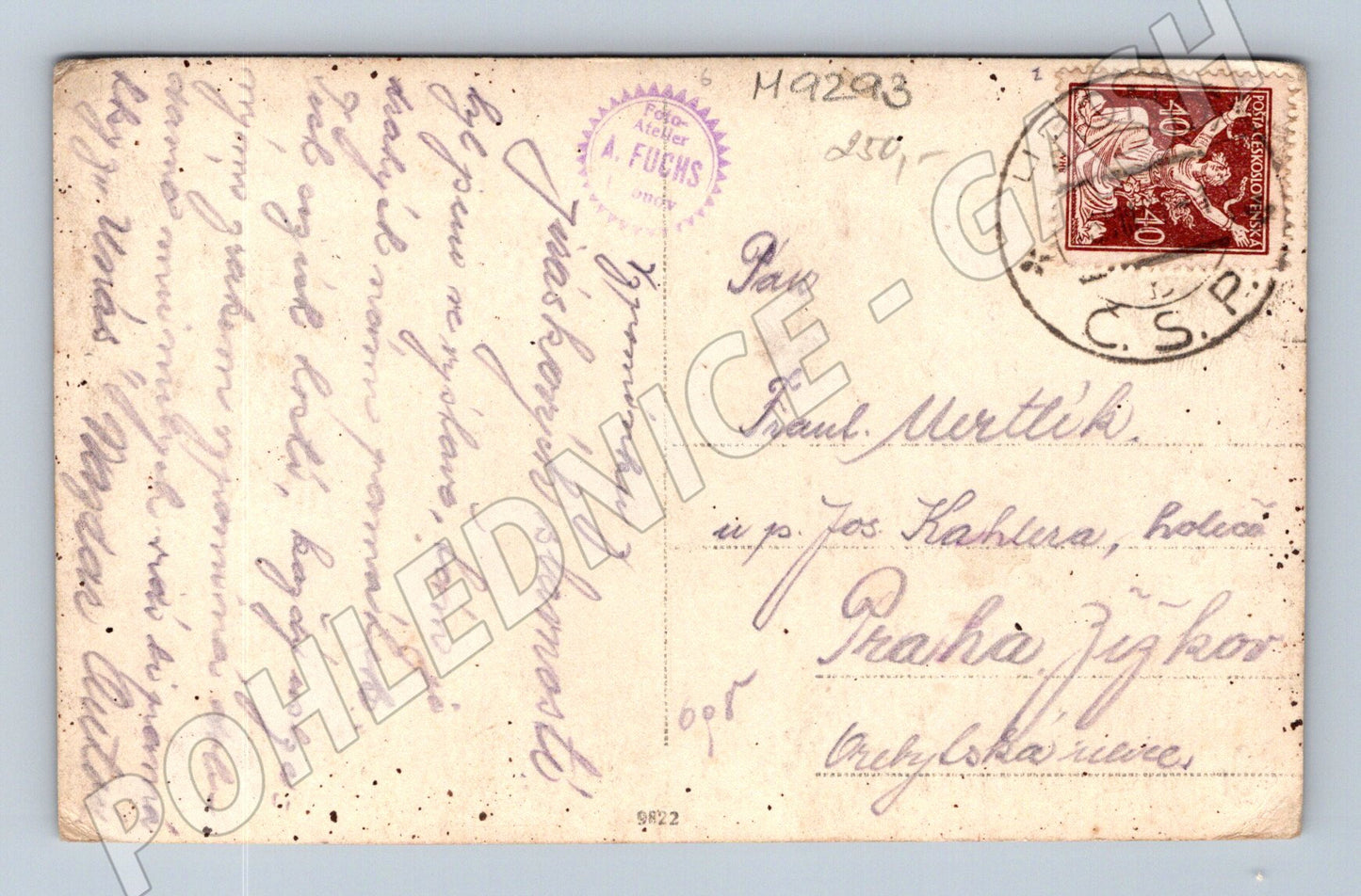 Postcard rural landscape man with rake (M9293)
