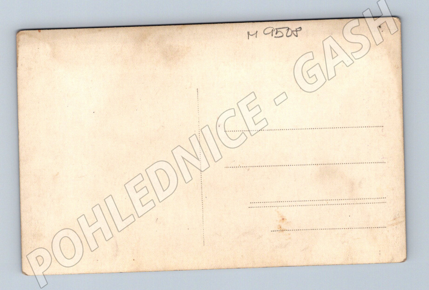 Postcard woman with white poodle photo b/w (M9508)