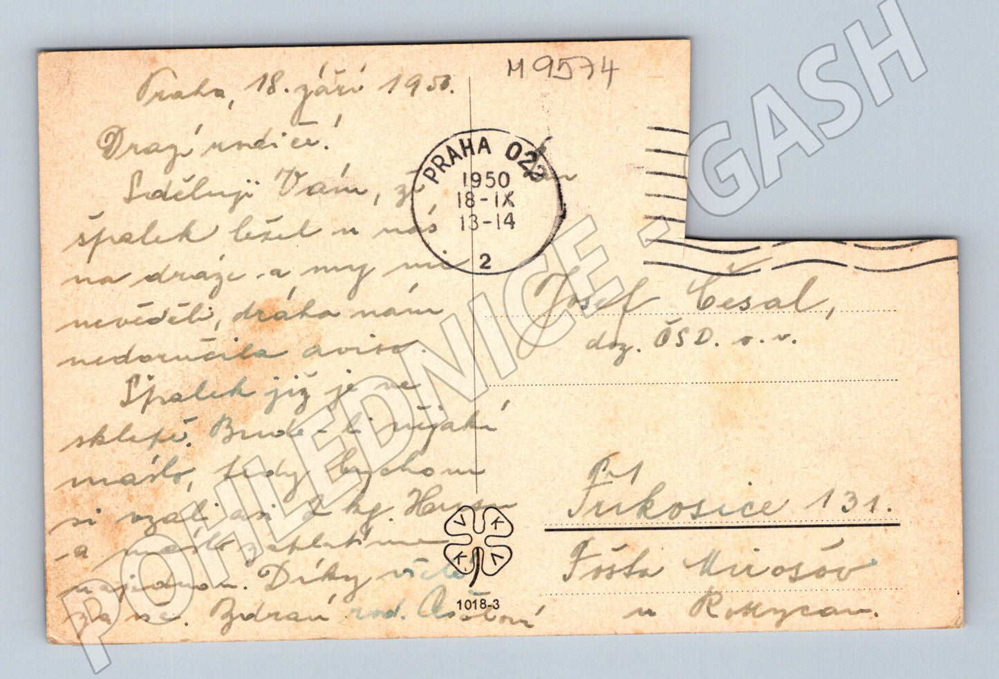 Postcard landscape woman in field 1950 (M9574)
