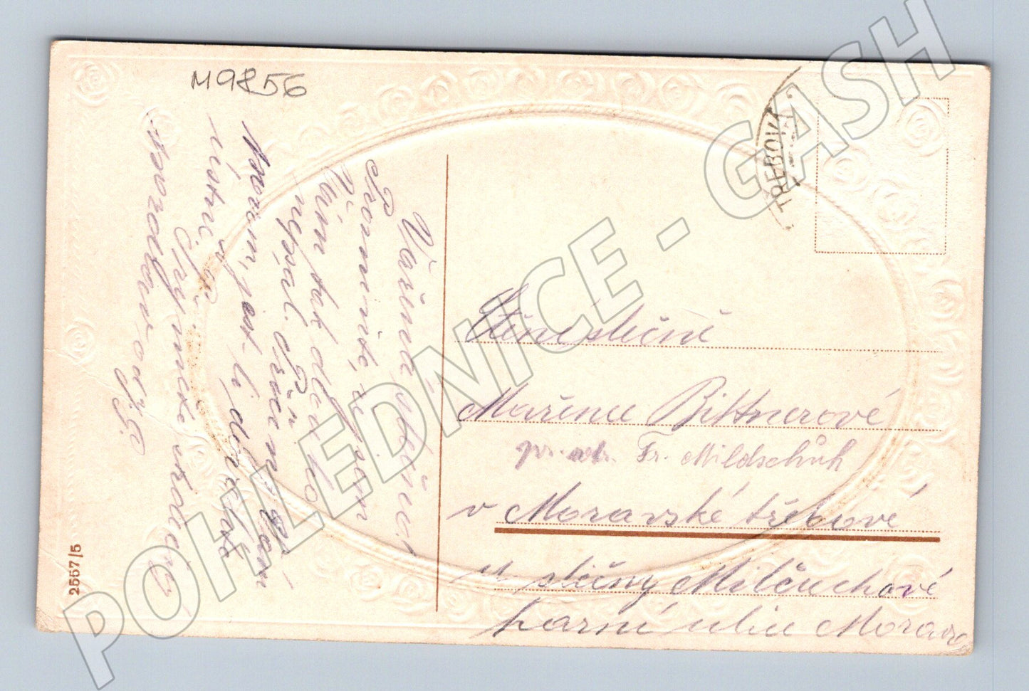 Postcard white rose flower Třeboň (M9856)