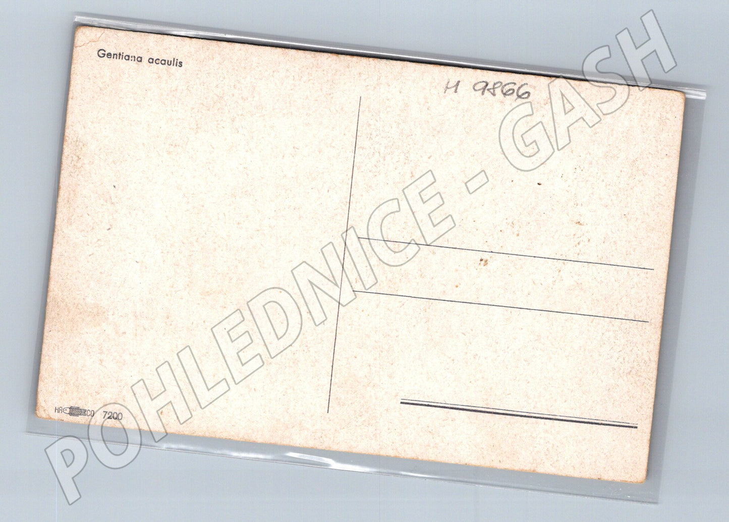 Pohlednice Gruss aus Teplitz motiv dívka (M9866)
