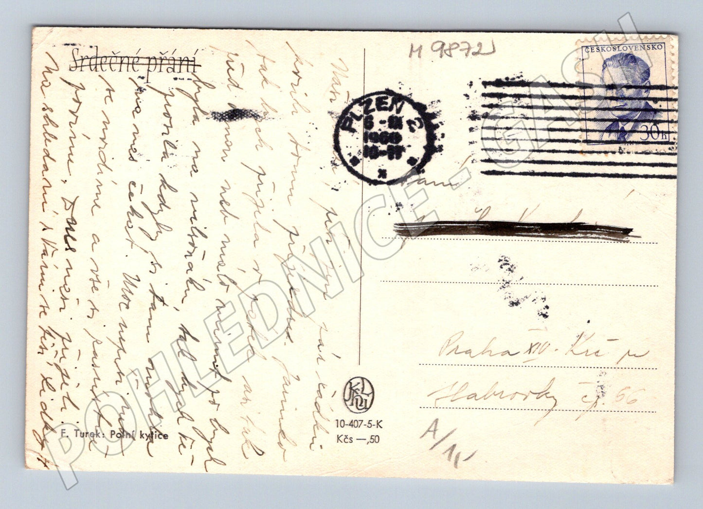 Postcard F. Turek Wildflowers 1951 (M9872)