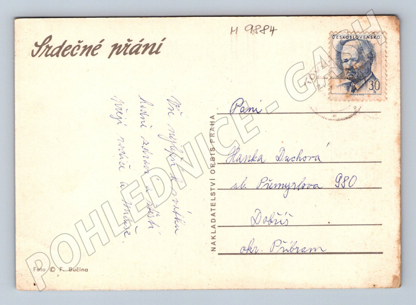Postcard Czechoslovakia bouquet with blue ribbon (M9884)