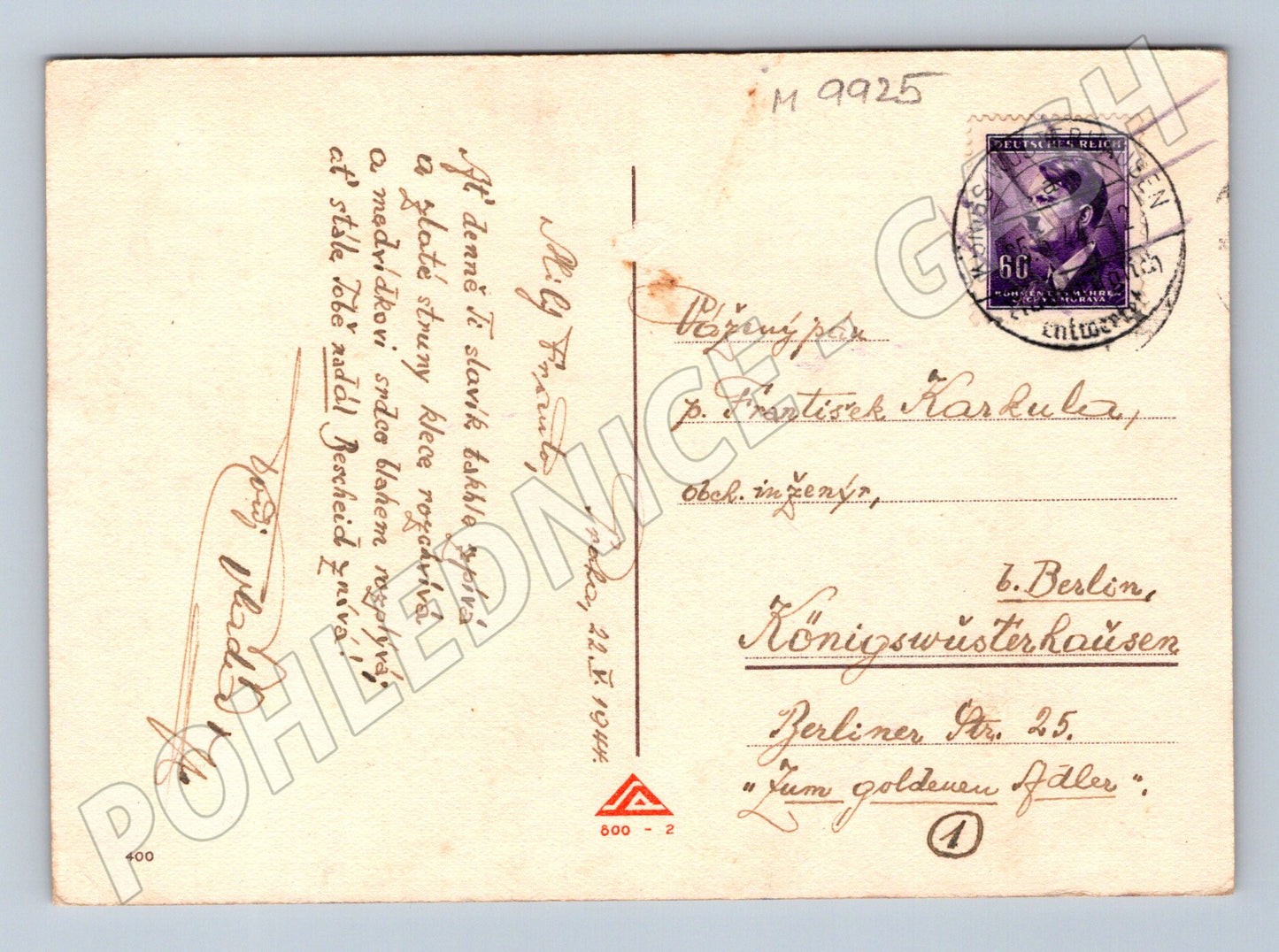 Postcard dog with birdcage humor Germany (M9925)