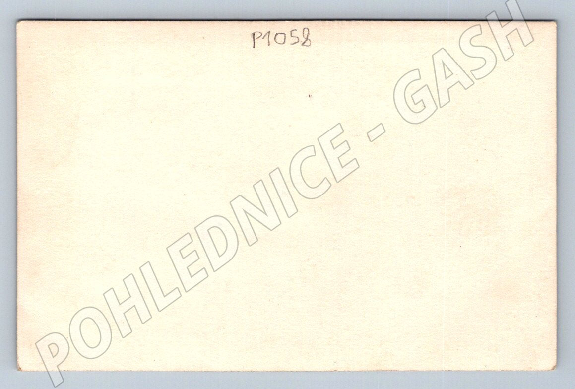 Postcard Czechoslovak soldiers B&W (P1058)