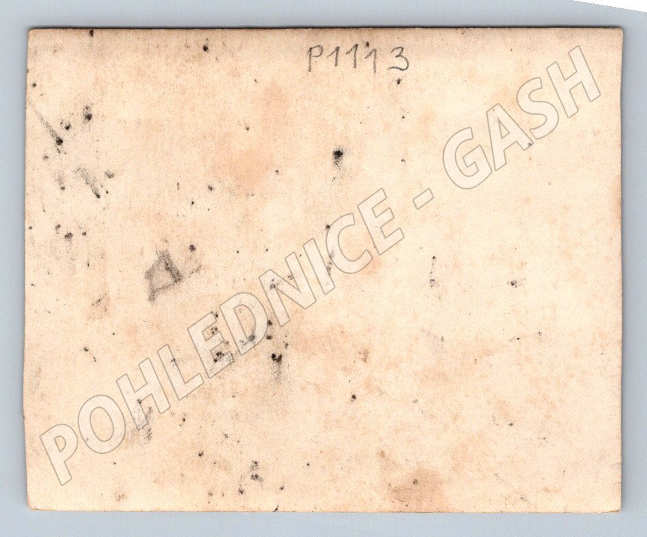 Pohlednice rodinná s vojáky a dětmi (P1113)