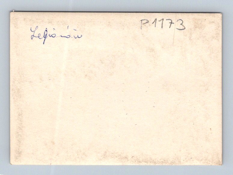 Pohlednice ČSR legionáři ČB 1920 (P1173)