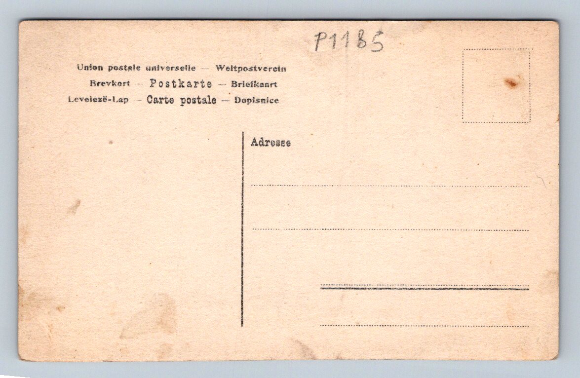 Postcard Austria-Hungary soldiers (P1185)