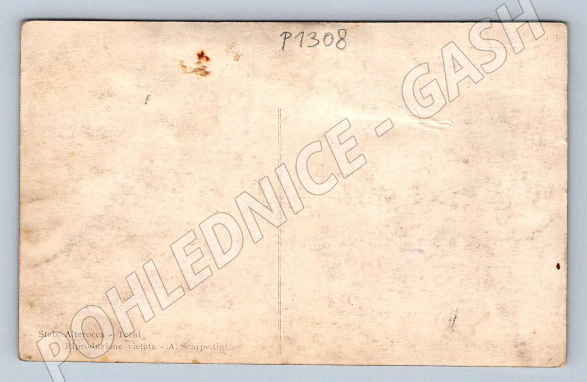 Postcard Albania King and Queen with entourage (P1308)