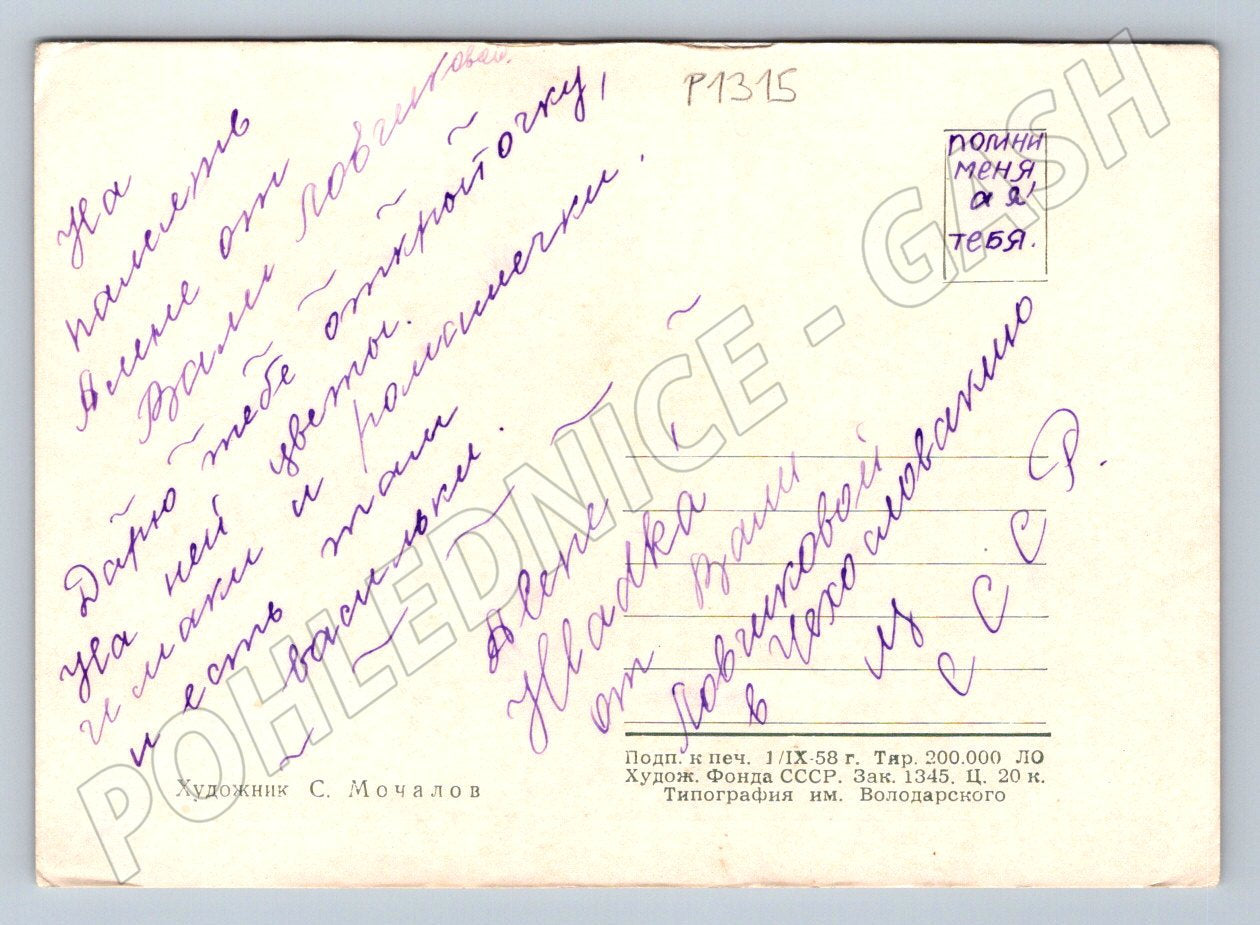 USSR postcard painted flowers S Mochalov 1958 (P1315)