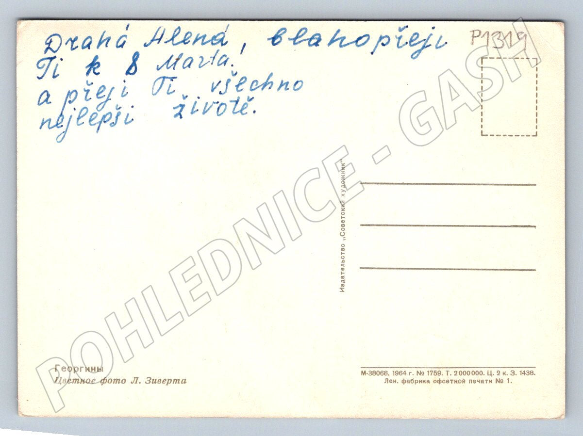 Postcard USSR dahlia flowers International Women's Day 1964 (P1319)