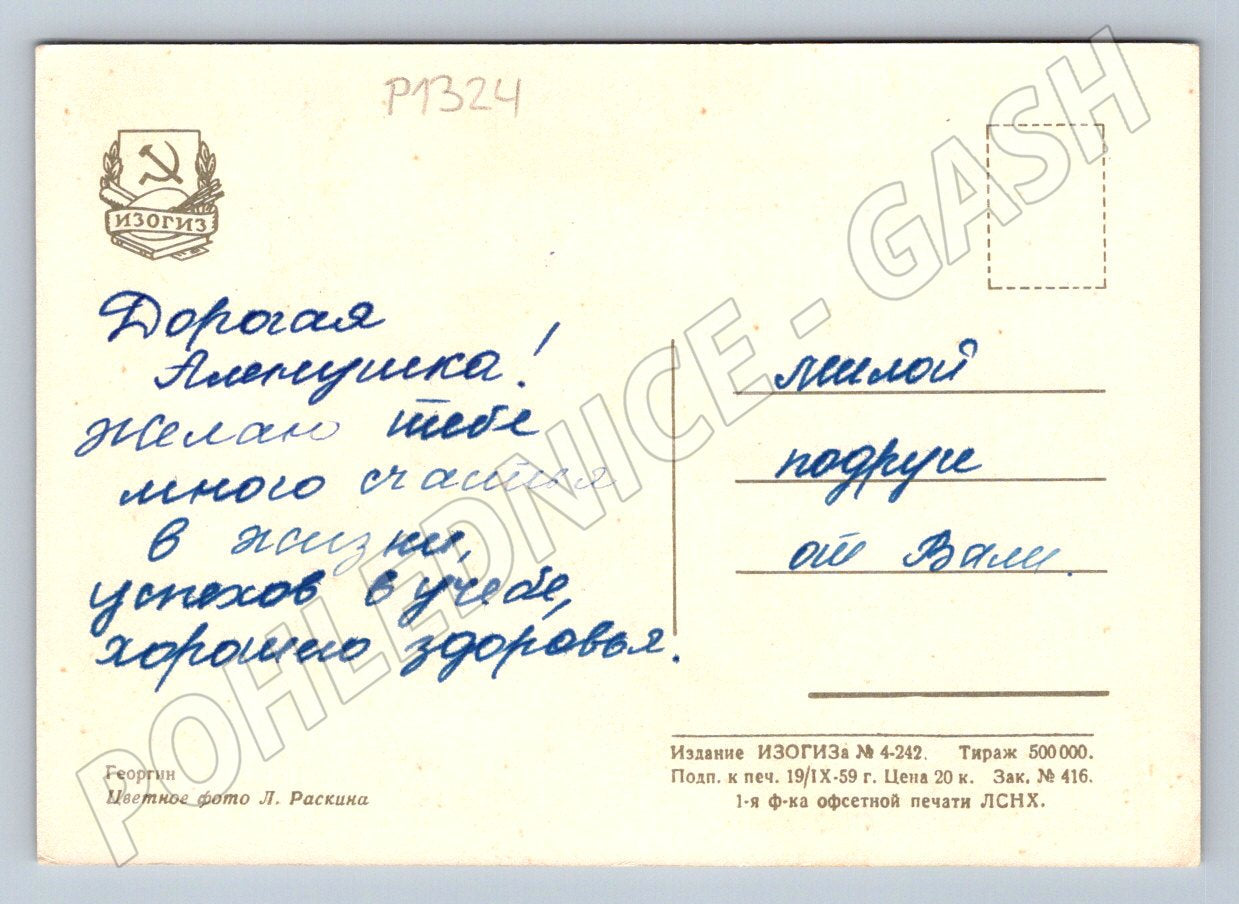 Postcard USSR dahlia color photo written 1959 (P1324)