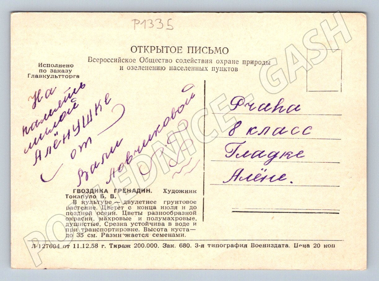Pohlednice SSSR karafiáty Gvozdika Grenadin květiny psaná 1958 (P1335)