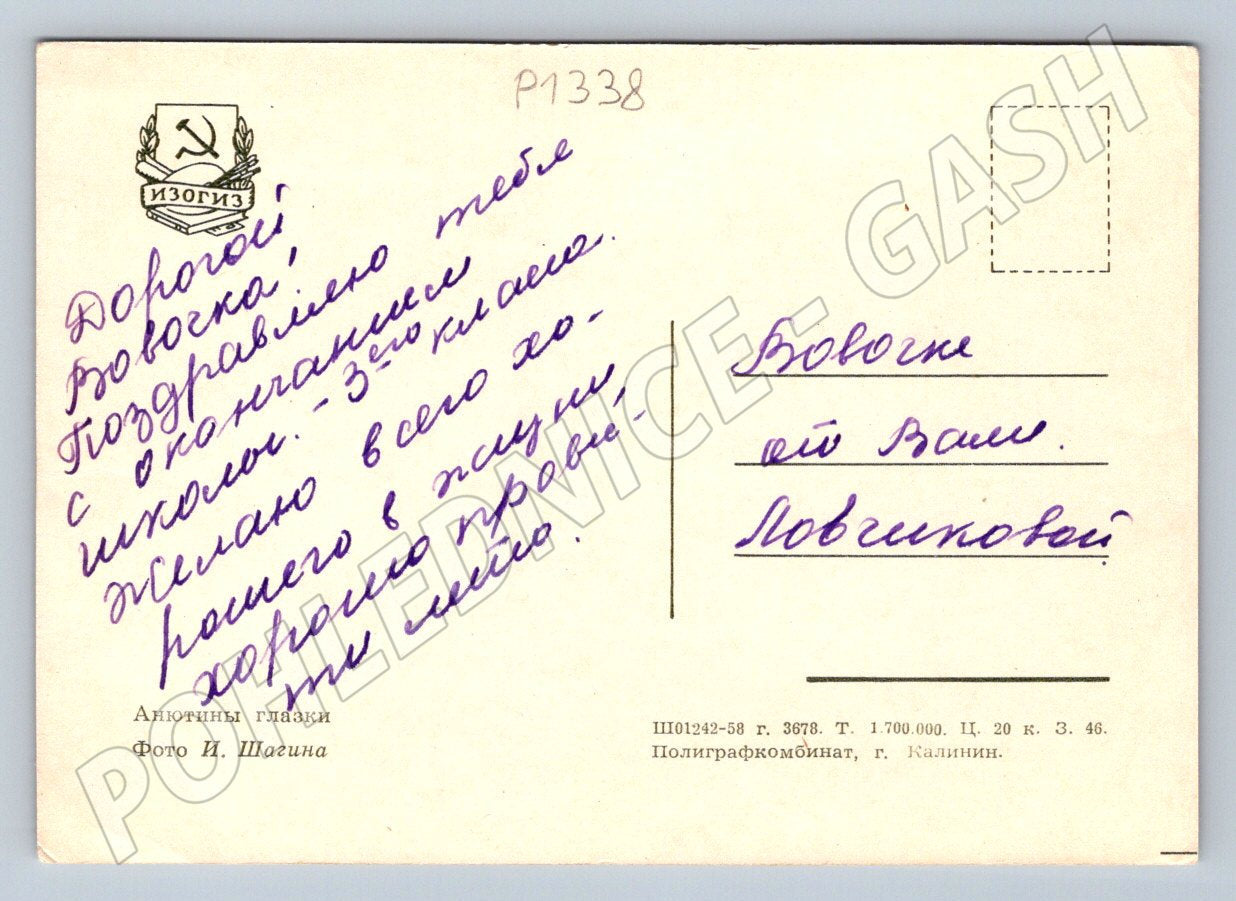 Pohlednice SSSR macešky ve váze ruční věnování (P1338)