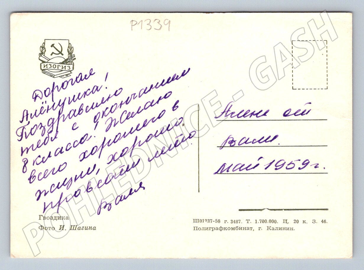 Pohlednice SSSR karafiáty psané přání 1959 (P1339)